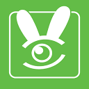 RabbitsCams